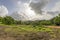 View of the tropical forest in the Sanjay Gandhi National Park Mumbai Maharashtra India. Near kanheri caves in mumbai India .