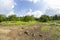 View of the tropical forest in the Sanjay Gandhi National Park Mumbai Maharashtra India. Near kanheri caves in mumbai India .