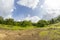 View of the tropical forest in the Sanjay Gandhi National Park Mumbai Maharashtra India. Near kanheri caves in mumbai India .