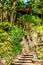 view of tropical Madeira Monte Palace garden in Funchal in its japanese part during a sunny day with its natural beauty