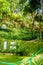 view of tropical Madeira Monte Palace garden in Funchal in its japanese part during a sunny day with its natural beauty