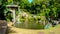 view of tropical Madeira Monte Palace garden in Funchal during a sunny day in february with its natural beauty