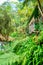 view of tropical Madeira Monte Palace garden in Funchal during winter sunny day in february with its natural beauty