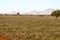 View of the Tsavo East savanna