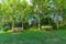 View of two benches in a viewpoint of a forest in Elorriaga, Basque Country, Spain