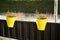 View of two yellow pots placed on the house deck with plants inside
