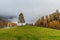 View of typical autumn landscape with a little shack and yellow trees.