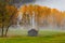 View of typical autumn landscape with a little shack and yellow trees.