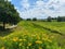 View on typical dutch rural flat landscape along river Maas with cycling track near Nijmegen, Netherlands