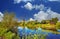 View on typical idyllic dutch rural beautiful landscape with reed grass, trees, windmill and old wooden house, deep blue summer