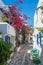 View of a typical narrow street in old town of Naoussa, Paros island