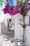 View of a typical narrow street in old town of Naoussa, Paros island