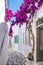 View of a typical narrow street in old town of Naoussa, Paros island, Cyclades