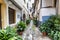 View of a typical potted street with coves and traditional architecture in the town of Villanueva de la Vera in Caceres,