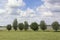 View on a typical river landscape in the Netherlands. A perfect dutch sky with beautiful clouds, a row of tress and green grass