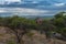 View of Ugab valley and terraces, Damaraland, Namibia