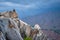 View from Ulsanbawi rock peak. Seoraksan National Park, South Corea