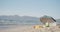 View of umbrella, san buckets, hats and blanket on the beach