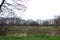 View on an uncultivated natural field in rhede emsland germany