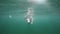 View under water. Woman in colored swimsuit swims on the back.