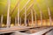 A view on unfinished attic from inside the house with a close-up on wooden ceiling joists, roof beams, rafters, wall studs and