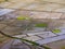 View of unique Spider`s Web Rice Fields on the Indonesian island of Flores.