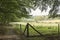 A view from an unpaved path to meadows with cattle