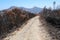 View of an unpaved road with bushes on both sides