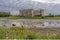 A view up the Carew River, Pembrokeshire from the wall of the tidal pond