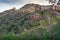 View up to giant boulders mountain and eucalyptus forest