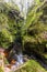 A view upstream through the narrow gorge of Finnich Glen, Scotland