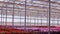 View of upwards through the top of industry greenhouse, watering lines and lighting equipment in a nursery for growing