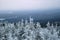 View of the Ural mountains in winter from the top