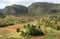 View at valle de vinales