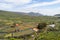 View of the valley of arriba in the northwest of the island of T