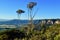 A view into the valley in the Blue Mountains