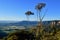 A view into the valley in the Blue Mountains