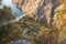 View of the Valley of the Butterflies from above. South of Turkey