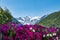 View of the valley of Cogne in the Gran Paradiso National Park