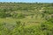 View at valley with olive trees, Dalmatia landscape