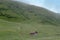 View of a valley on the Swiss Alps with a stable and cows