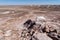 View of the vast arid dry desert of Petrified Forest National Park and the Painted Desert of Arizona in Four Corners area. Room