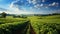 View of a vast soybean farm agricultural field with a blue sky background. AI Generated.