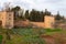 View on vegetables gardens with green onion and broad beans plants on hill and medieval fortress Alhambra in Granada, Andalusia,