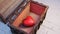 View of a very big and chubby red heart inside an old wood with rusty metal Chest opened