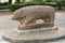 View at the the Vettones`s granite megalithic sculpture of a pig, inside Cuidad Rodrigo Fortress downtown