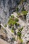 View of Via Krupp - winding path on Capri Island