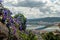 View at Viana do Castelo from Santa Luzia Mountain with morning glory flowers in the shot on a cloudy day - Panorama, Ipomoea