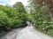 View of a Victorian stone bridge, and old trees on, Manorley Lane, Wibsey, UK