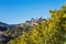 View of the village Bormes-les-Mimosas. Mimosa trees in bloom in the foreground.